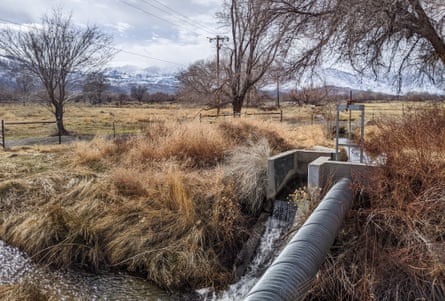 a pipe over a creek in a field, with leafless trees