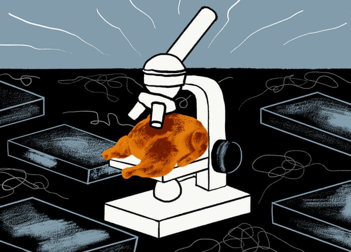 How To Roast A Chicken The Answers Are Horrifying Food The Guardian How To Roast A Chicken The Answers Are Horrifying Food The Guardian