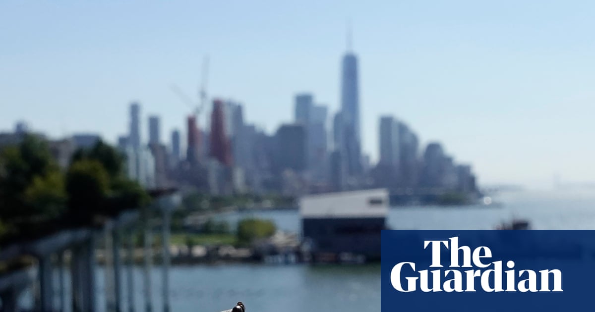 ‘They don’t belong in our environment’: US vineyards battle spotted lanternflies as invasive insects spread