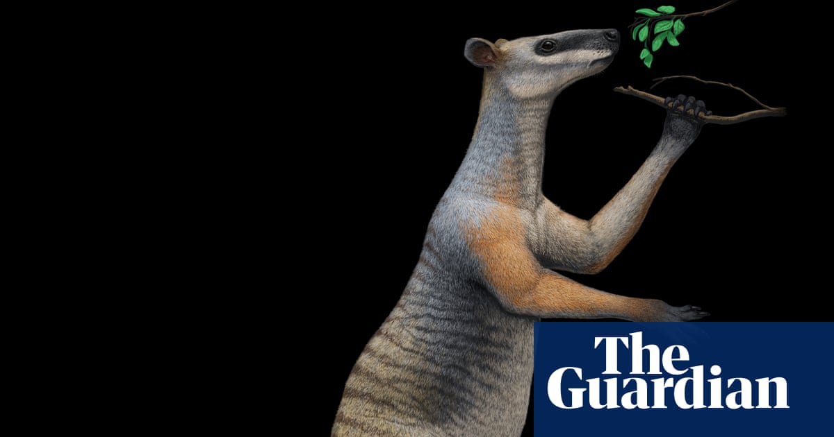 Giant prehistoric kangaroos preferred to chill at home' and didn't like to go out much, scientists say