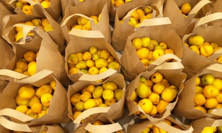 Quince bagged for sale at Norton Priory, Cheshire.