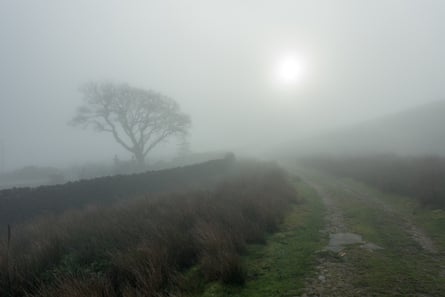 Eerie-looking sunlight on a misty day
