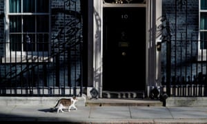 Larry waits heads to be let into No 10 as Boris Johnson was being treated in intensive care for coronavirus.