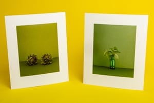 Kate Friend prints