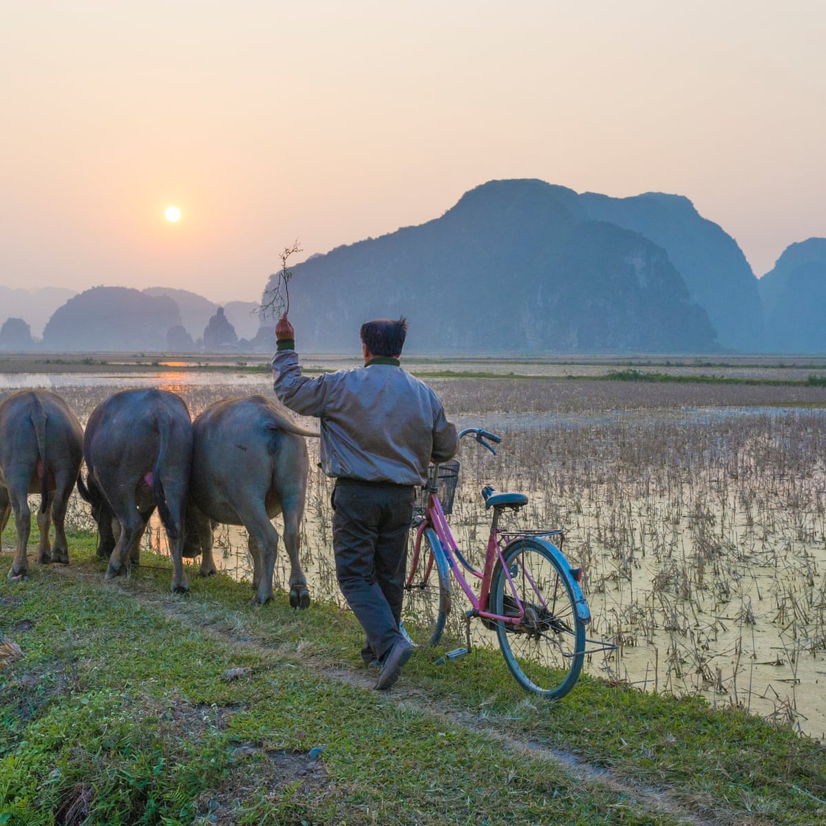 Essential Tips for Kiwis Traveling to Vietnam: A Comprehensive Guide - Embrace the Culture