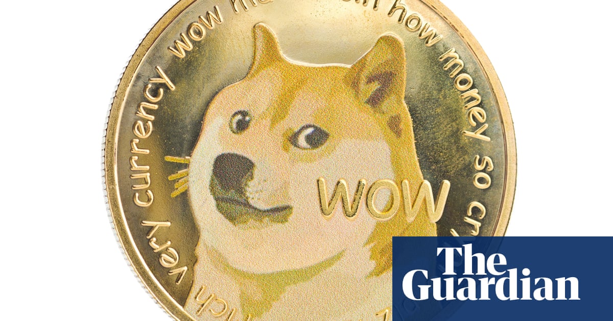 Dog That Inspired 'Doge' Meme Has Leukemia And Liver Disease, Owner Says |  Dogs | The Guardian