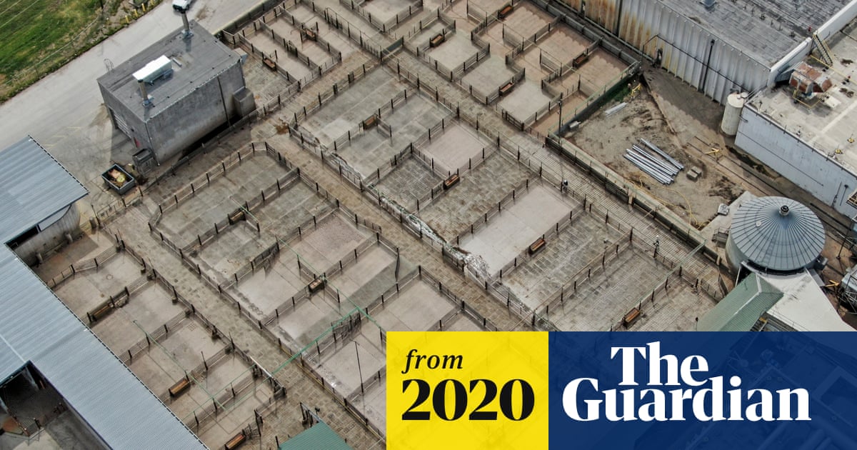 www.theguardian.com