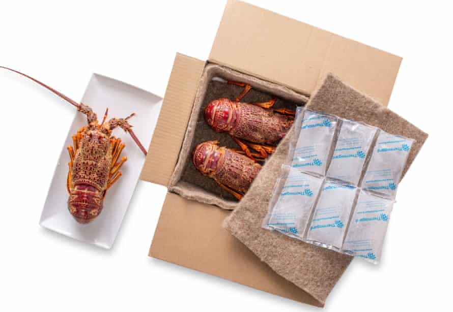 Planet Protector uses Woolpack, a product manufactured from wool, as an alternative to polystyrene.