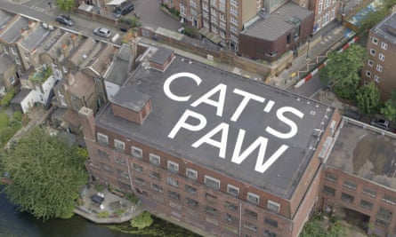 An aerial view of the roof painting Cat’s Paw by the artist Abbas Akhavan at the Chisenhale Gallery in east London in 2021.