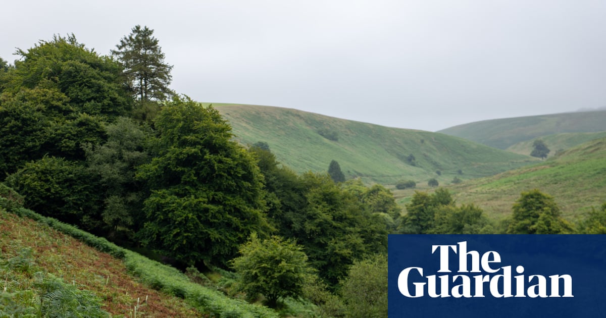 My friend and I saw a big cat on Exmoor in 1982 | Letter