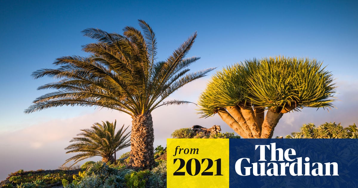 A Complete Guide to Holidays in the Canary Islands