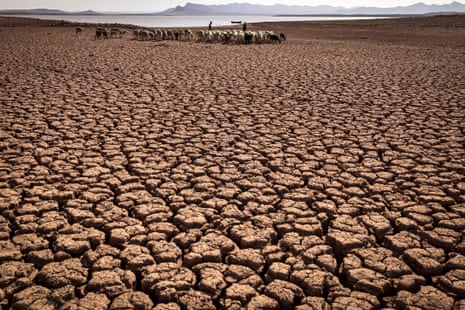 A herd of sheep walk over cracked earth at al-Massira dam in Ouled Essi Masseoud village, some 140 kilometres (85 miles) south from Morocco’s economic capital Casablanca, amidst the country’s worst drought in at least four decades.
