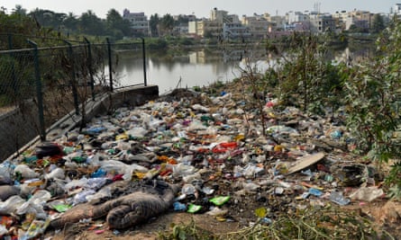 Garbage dumped by a lake in Bangalore.