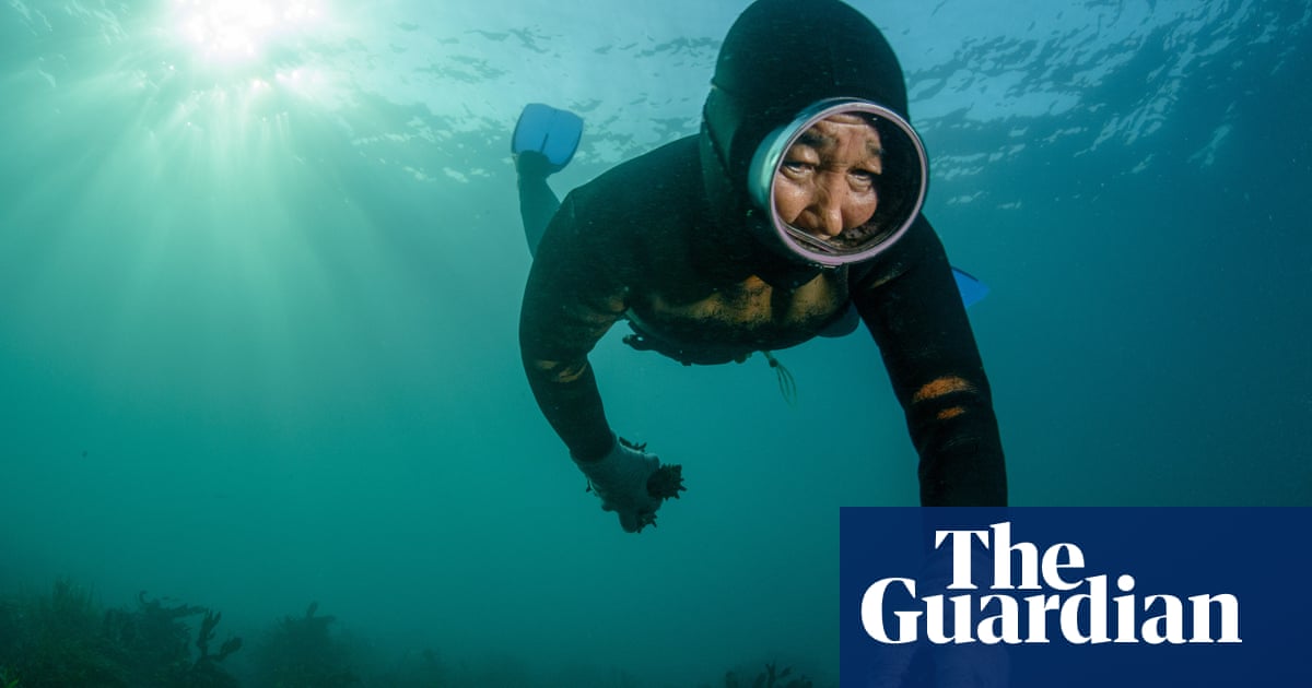 South Korea's female freedivers: TV has made stars of the haenyeo but what is their real story?