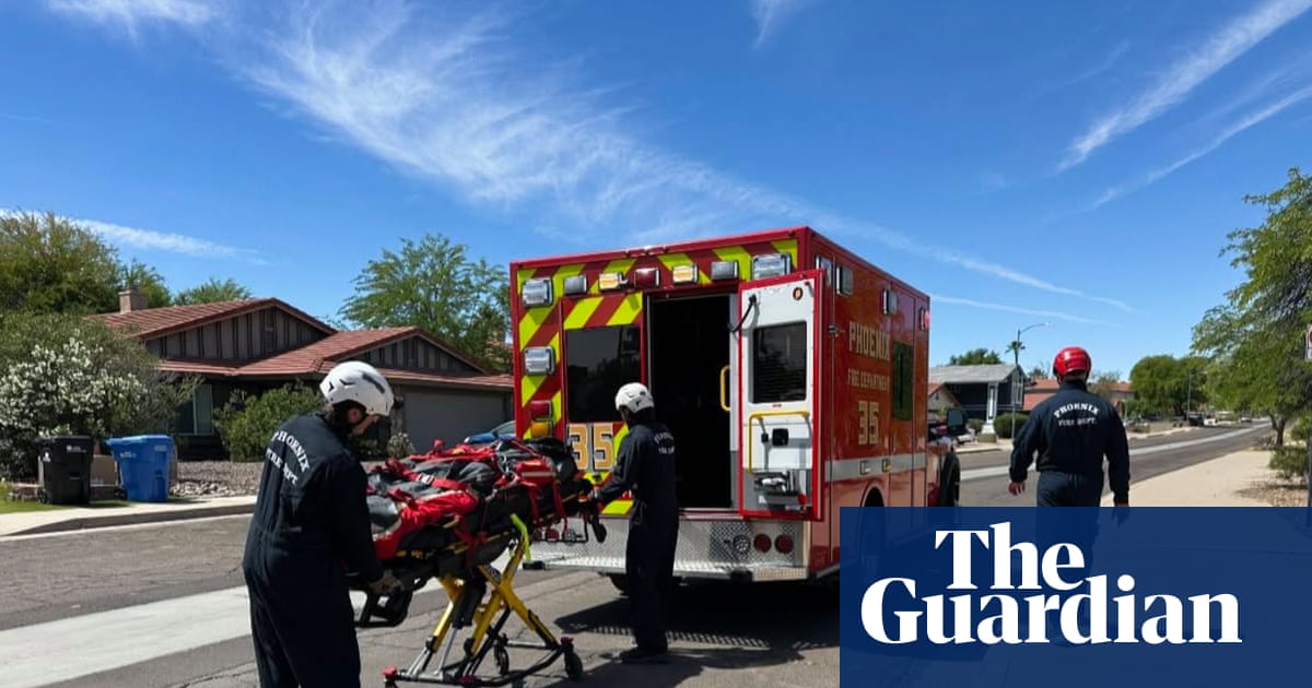 Arizona Hiker's Bee Attack Highlights Climate Change Impact, Public Safety Concerns