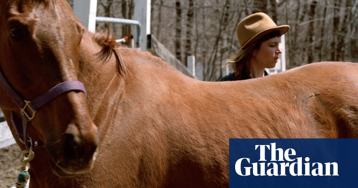 I saved an abused, broken horse. Or did she save me?
