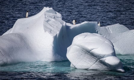 Penguins on ice in Antarctica