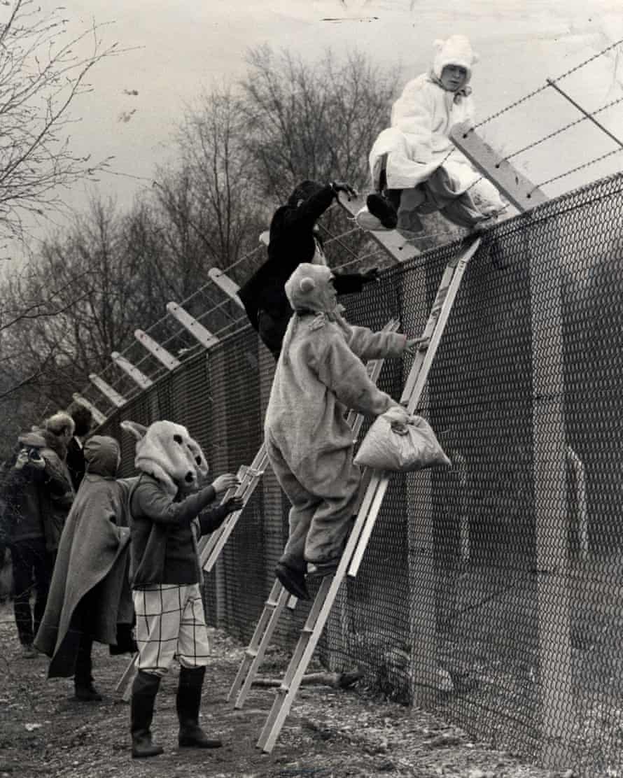 Climbing the Greenham fence dressed as teddy bears in 1983.