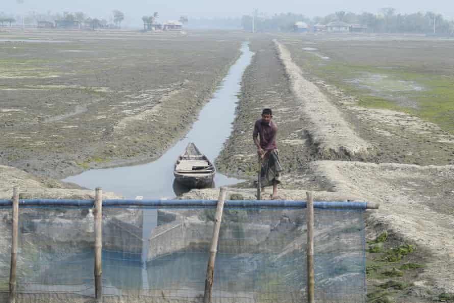 Katmar Char village in Koyra upazila