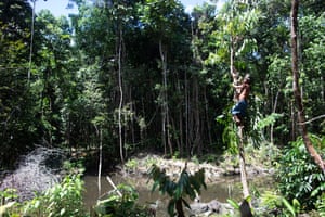 Academic research backs up indigenous complaints about the effect of mining on the reserve’s biodiversity.