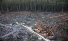 Logging operations in the Tarkine area of Tasmania