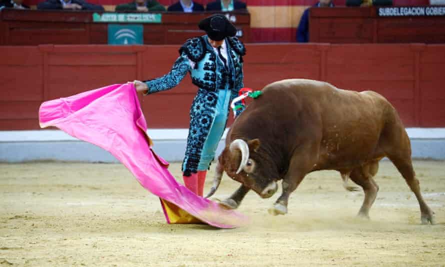 Bullfighter Cayetano Rivera in the ring in Jaen, southern Spain, in October 2019.