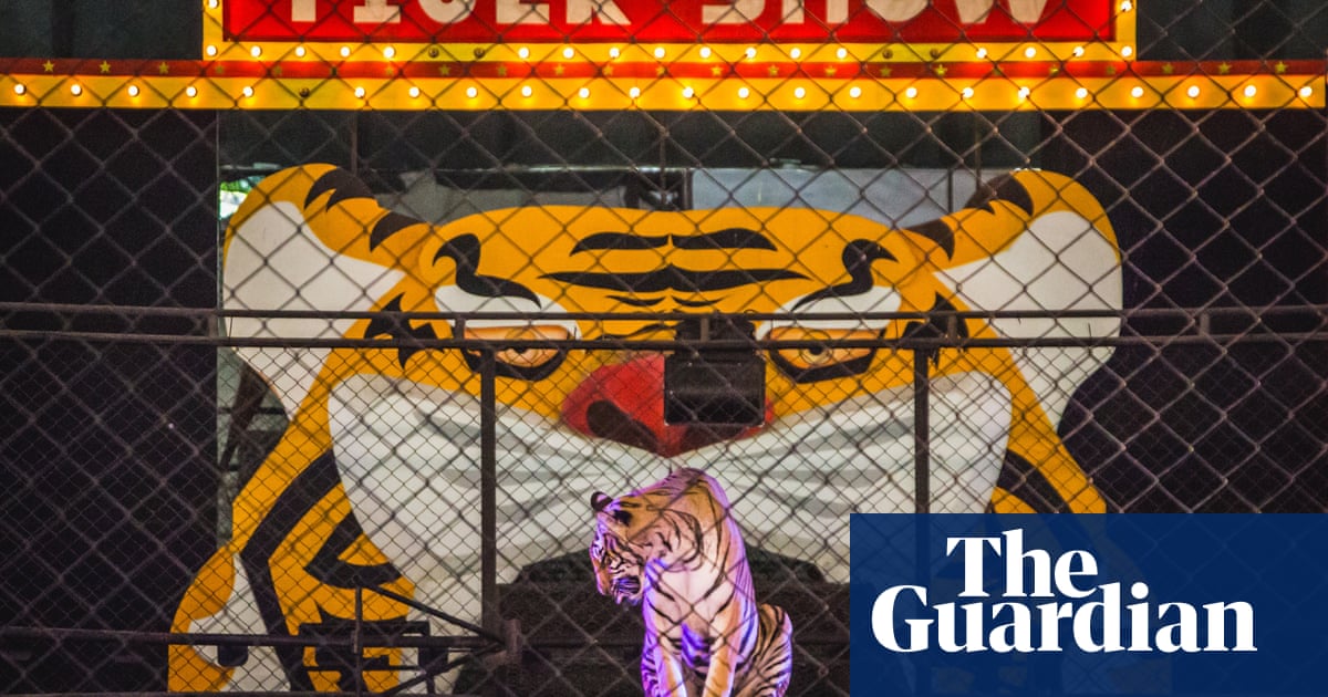 Wildlife trade in pictures campaigners call for global ban