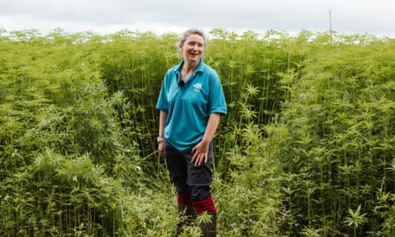 Dr Lynda Deeks in a hemp field