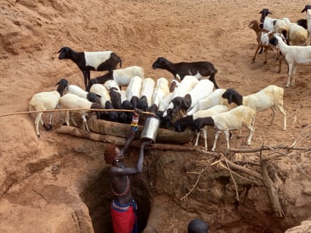 A herder in northern Kenya gives his sheep water from a deep well.