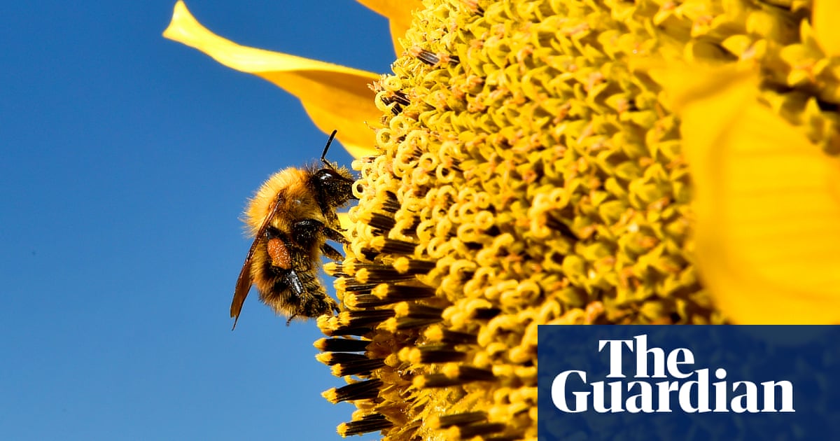 buy stromectol 3 mg buy stromectol 3 mg