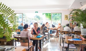 Wildbeets, Ibiza