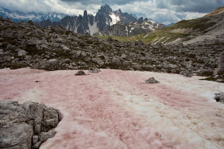 ‘Watermelon’ snow seen in the Dolomites of Italy.