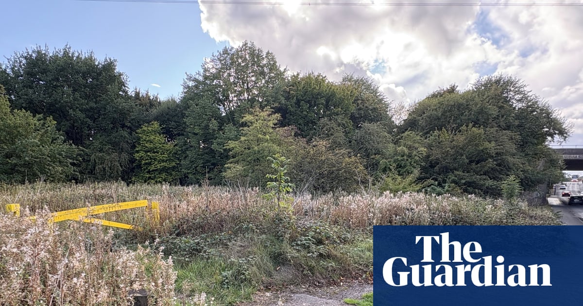 MPs express shock after alleged racially motivated rape of Sikh woman
