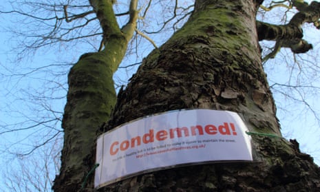 A sign strapped to a tree in Nether Edge, Sheffield alerts passers by that it has been earmarked for felling.