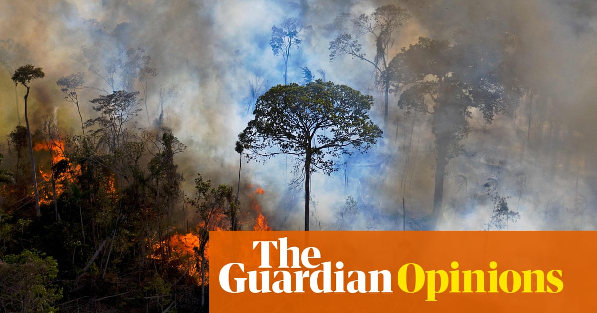From the Amazon to Australia, why is your money funding Earth’s destruction? | George Monbiot
