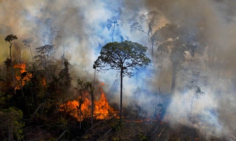 Illegal fires in the Amazon rainforest reserve in Pará state, Brazil, 2020
