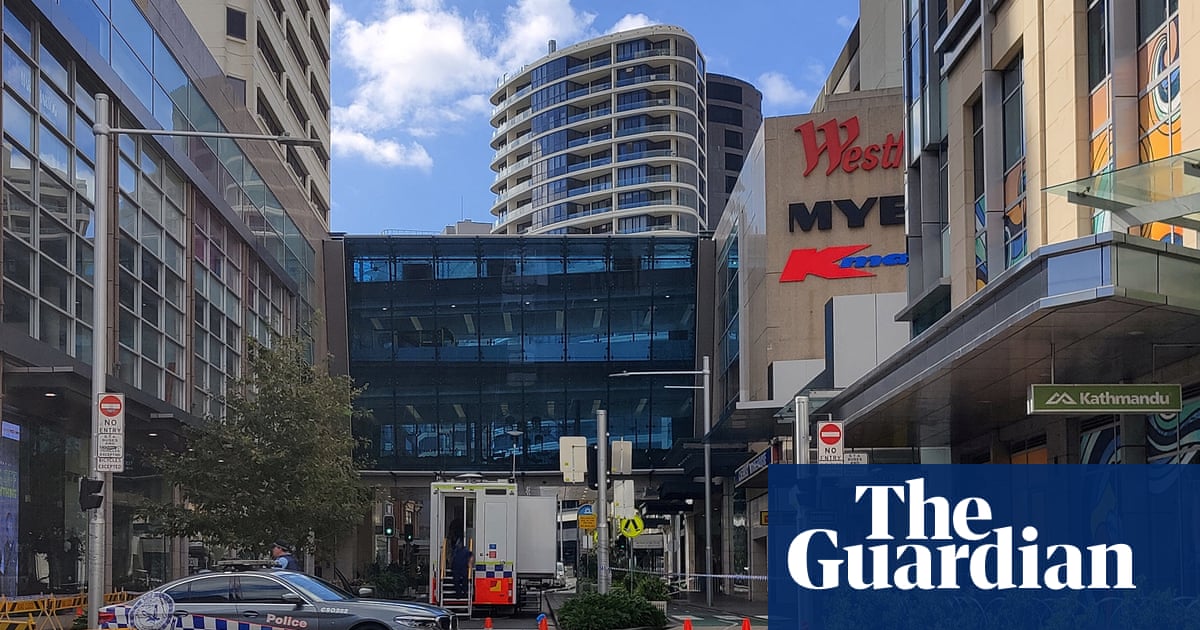 Bondi Junction stabbings: warrantless ‘wanding’ among recommendations considered by NSW coroner