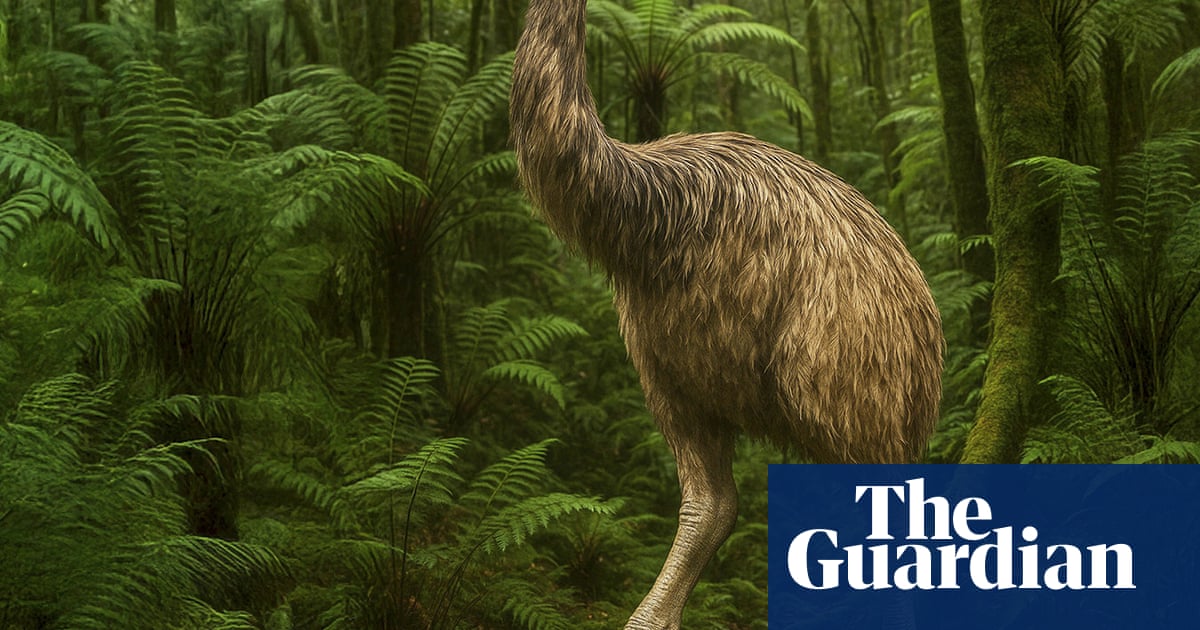 It's 12ft tall, covered in feathers and has been extinct for 600 years can the giant moa bird really be resurrected?
