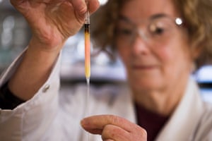 scientists discover world s oldest colour bright pink science