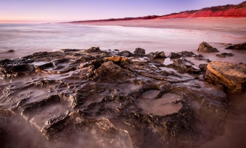 The prints, found along the Kimberley shoreline, belong to about 21 different types of dinosaur, and are thought to be the most diverse collection of prints in the world.