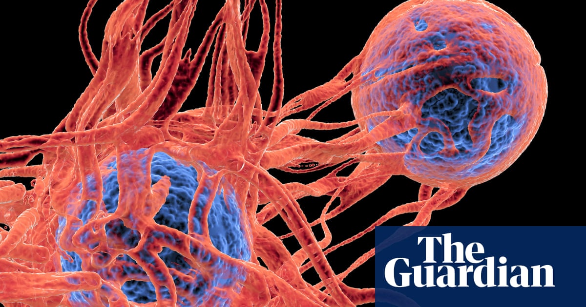 A silver lining': how Covid ushered in a vaccines golden era | Medical  research | The Guardian