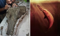 Composite picture of a photo of a man using a scalpel to pick at a huge crocodile-like skull, and a drawing of  adolphin in brown water seizing prey