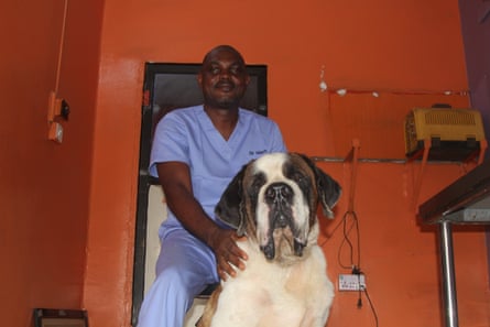 An African man in medical scrubs, with 'Dr Mark' stitched on his chest, poses with a very large dog
