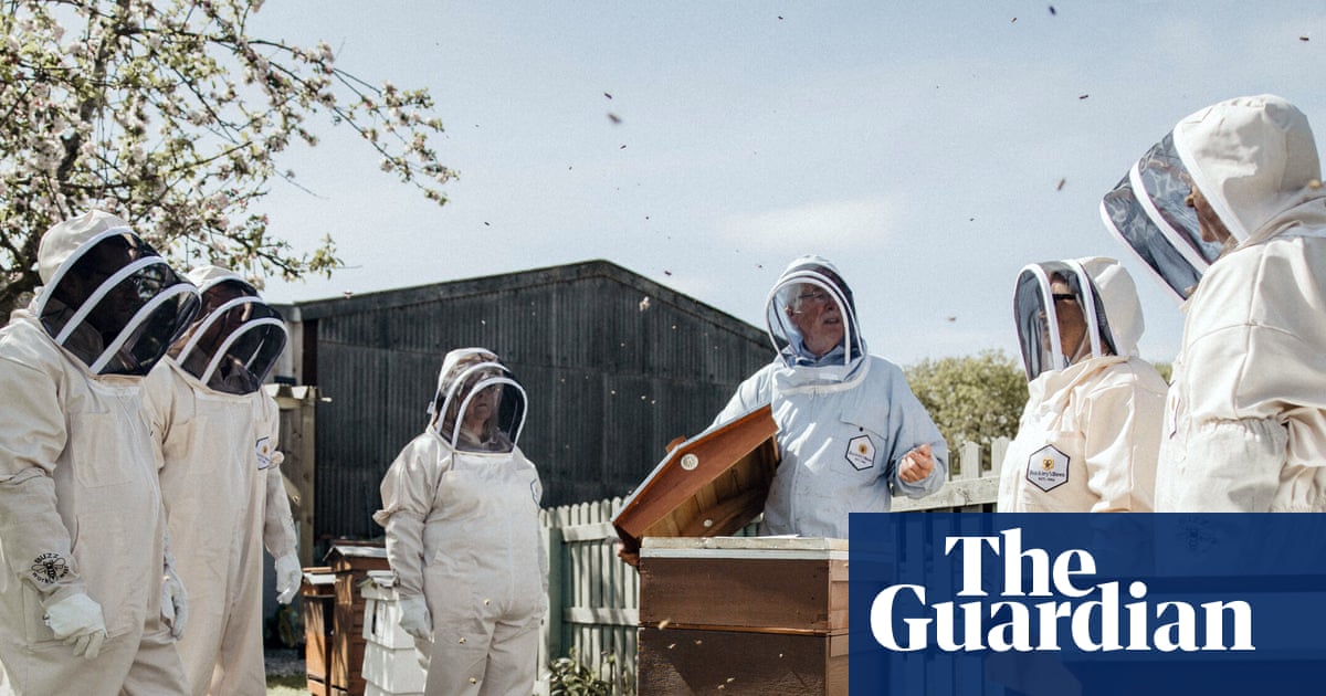 Office buzz: UK employers turn to beehives to boost workplace wellbeing