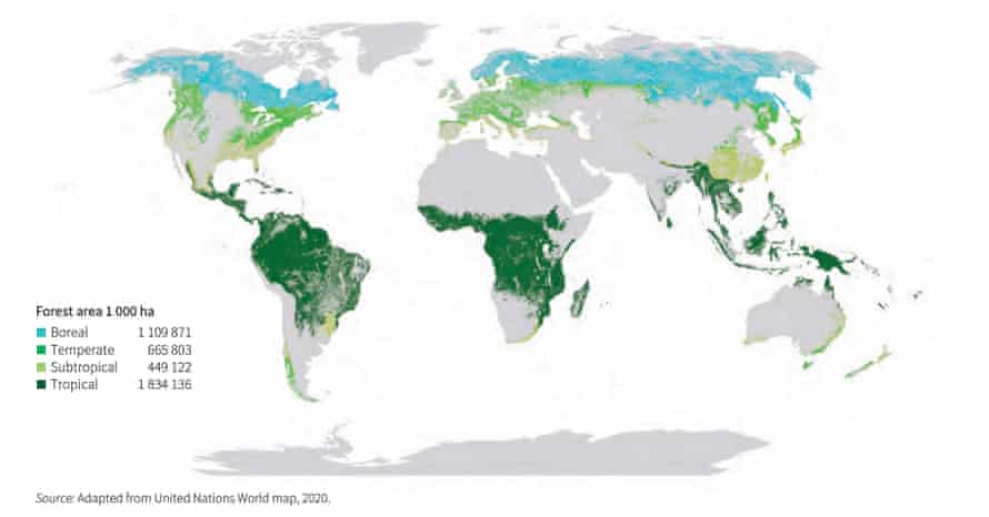 A distribuição global das florestas, por domínio climático Fonte: Adaptado do mapa mundial das Nações Unidas, 2020.