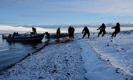 Hunters pull up the carcass of a hunted narwhal a few miles from the hamlet of Clyde River. The small whale provides food for the community, which is heavily reliant on hunting as the main source of food.