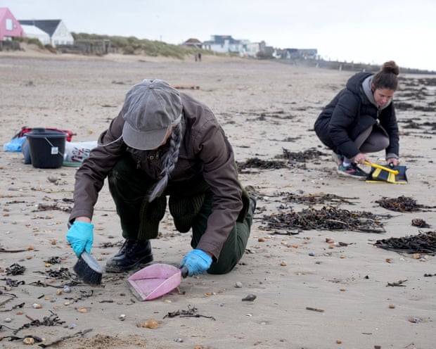 Bolitas de plástico se esparcen por la costa de Sussex tras un derrame «catastrófico», según se informó en una reunión Bolitas de plástico se esparcen por la costa de Sussex tras un derrame «catastrófico», según se informó en una reunión