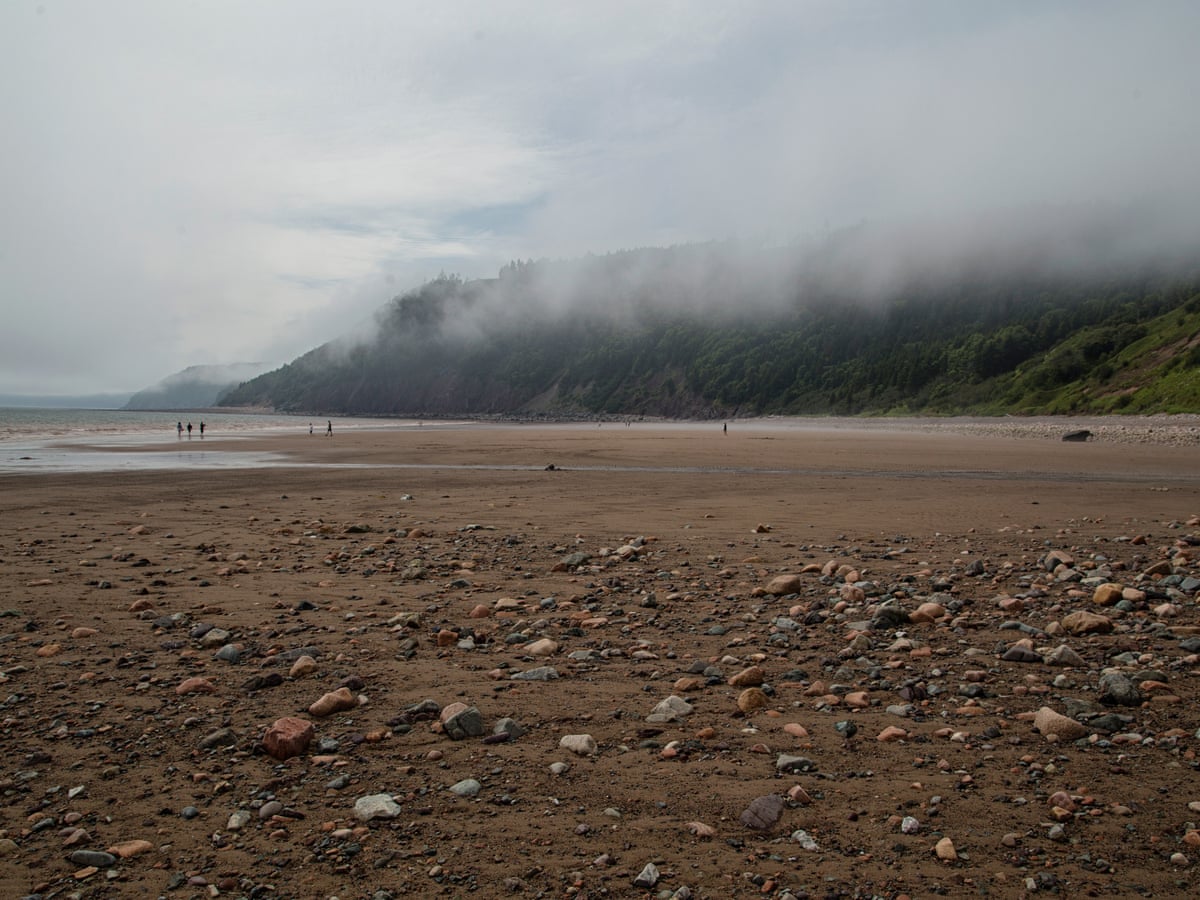 Poem Of The Week Low Tide At St Andrews By Emily Pauline Johnson Books The Guardian