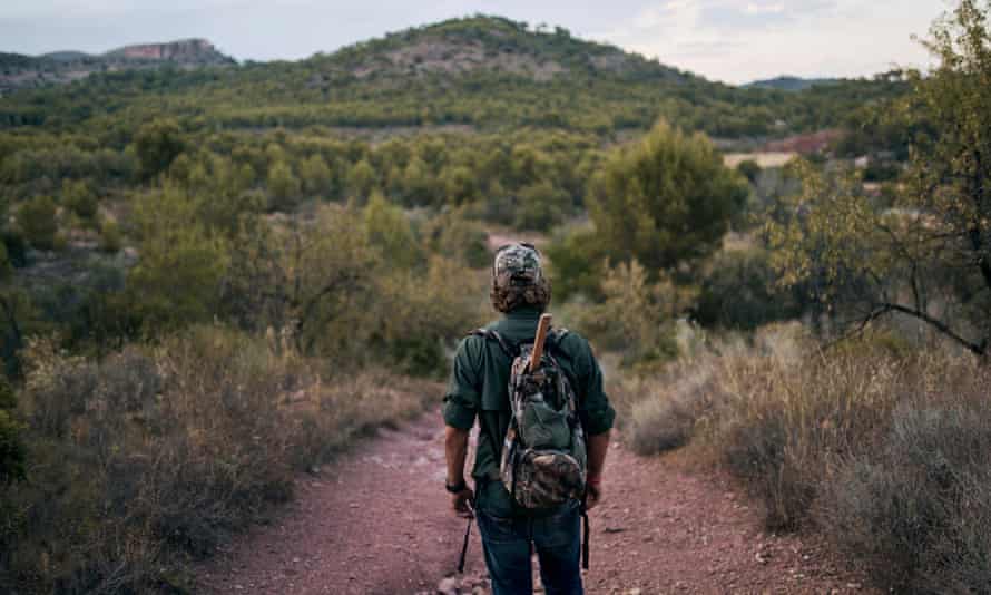 Mature man looking at landscape while standing in forest