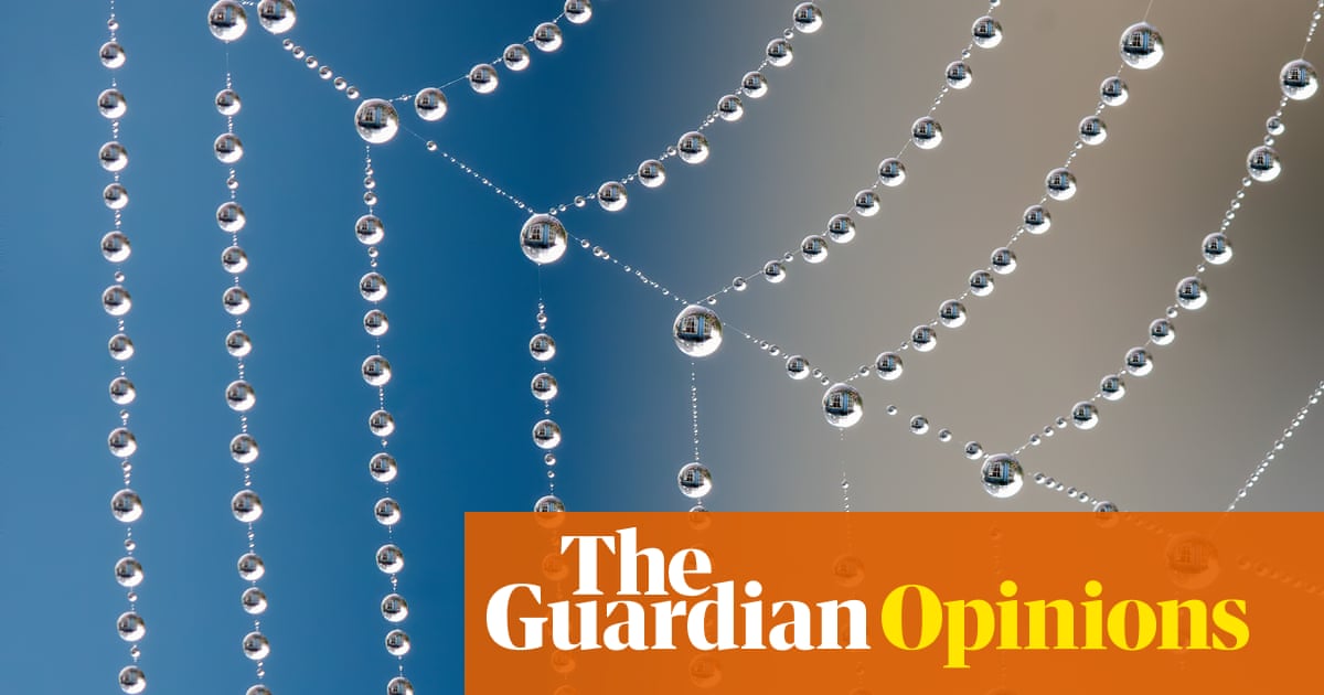 Will you look at that! Why we are delighted by random, beautiful marvels | Patti Miller